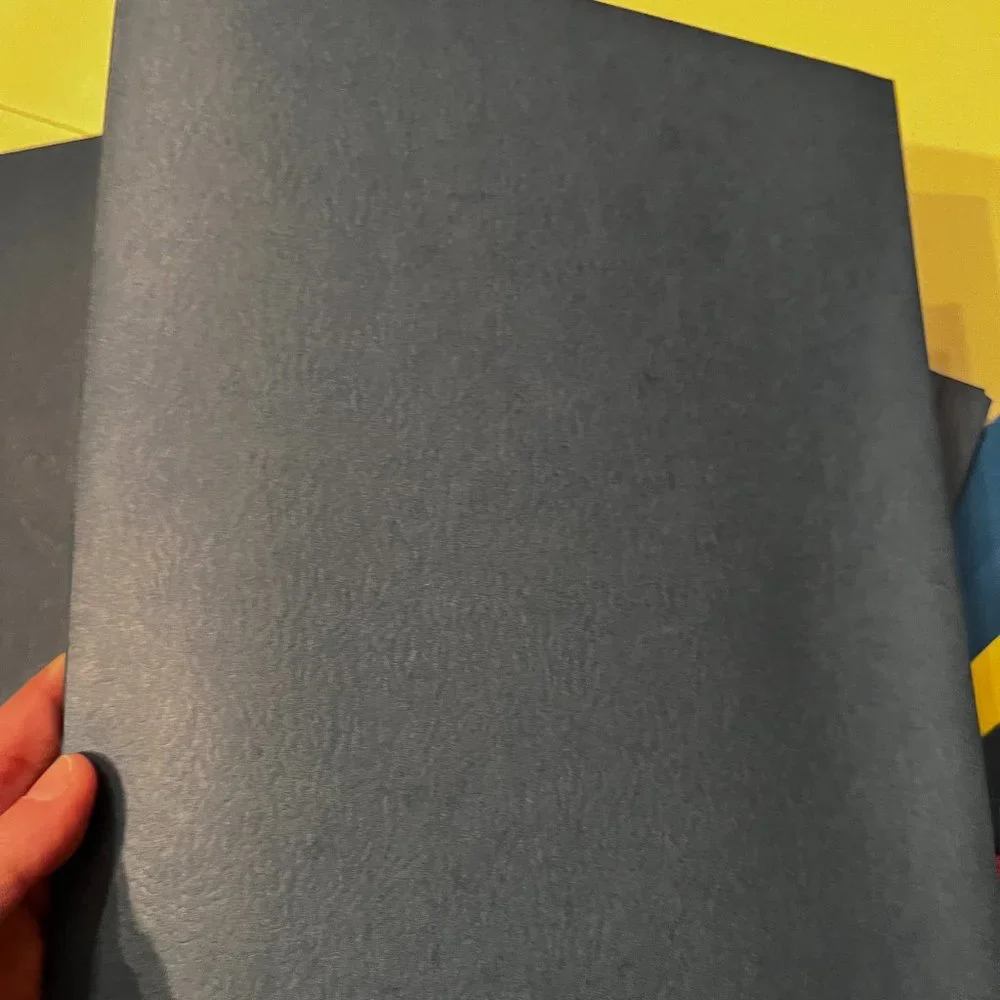 File Folders (20) (new)‎